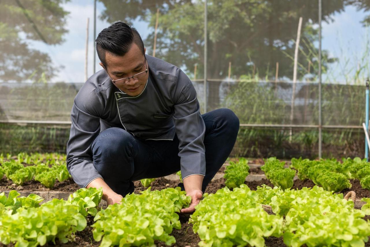 Mövenpick Resort Khao Yai Ban Wang Sai Exteriör bild